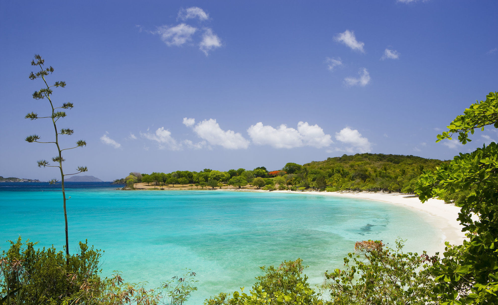 Caneel Bay Resort Cruz Bay Buitenkant foto