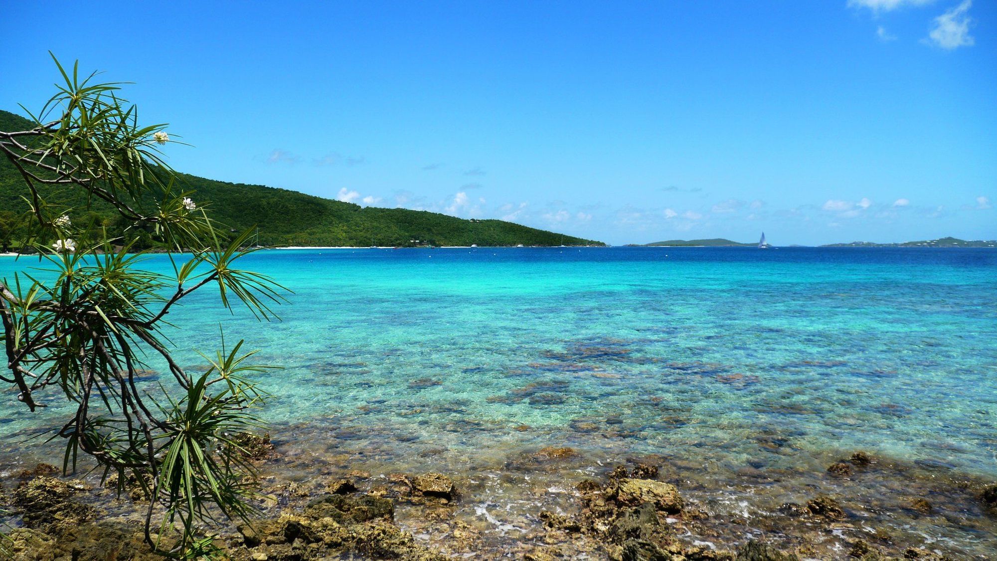 Caneel Bay Resort Cruz Bay Faciliteiten foto